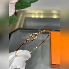 A110 Premium Edition, браслет Hermès с