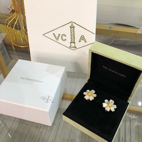 204971  [VCA rose Рождественские сер