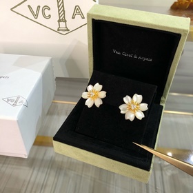 204971  [VCA rose Рождественские сер