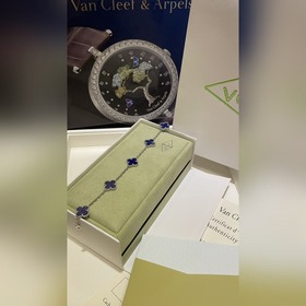 VCA： популярные модели из коллекции «