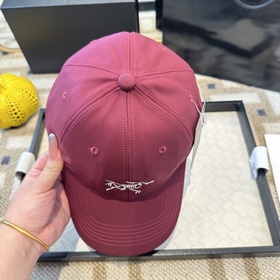 Новая модель 2026 года ARCTERYX SMALL 