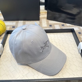 Новая модель 2026 года ARCTERYX SMALL 