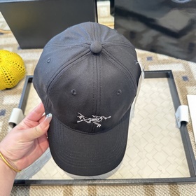 Новая модель 2026 года ARCTERYX SMALL 