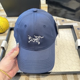Новая модель 2026 года ARCTERYX SMALL 
