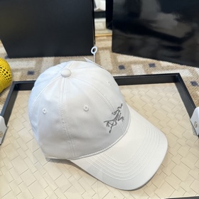 Новая модель 2026 года ARCTERYX SMALL 