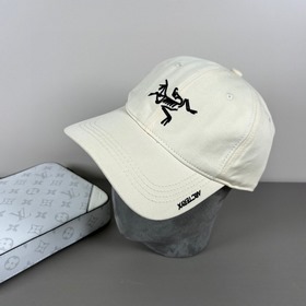 Новая бейсболка Arcteryx (始祖鳥) с вышив
