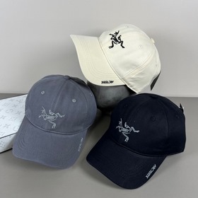 Новая бейсболка Arcteryx (始祖鳥) с вышив