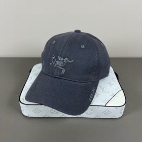 Новая бейсболка Arc'teryx (始祖鳥) с