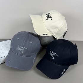Новая бейсболка Arcteryx (始祖鳥) с вышив
