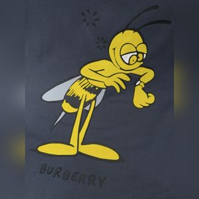 Burberry  Новейшая коллекция Burberr