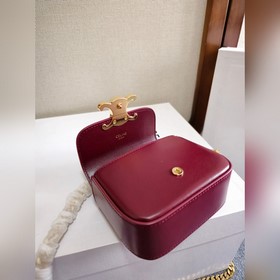 CELINE 2026 с цепочкой и золотой застё