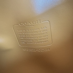 COACH — модель высшей линейки в полной