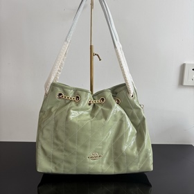 COACH — версия высшего класса в полной