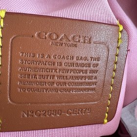 COACH — версия высшего класса в полной