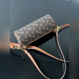 COACH — модель высшей линейки в полной
