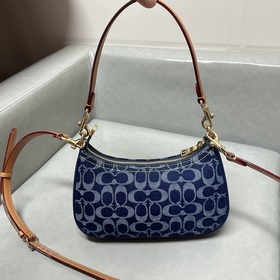 Коуч (COACH) — модель высшей серии в п