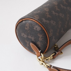 COACH — модель высшей линейки в полной