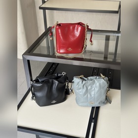 COACH — версия высшего качества в полн