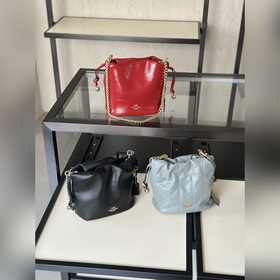 COACH — версия высшего качества в полн