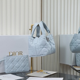Новая модель сумки Dior Toujours ледян