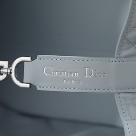 Новая модель сумки Dior Toujours ледян