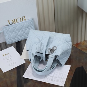 Новая модель сумки Dior Toujours ледян