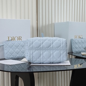 Новая модель сумки Dior Toujours ледян