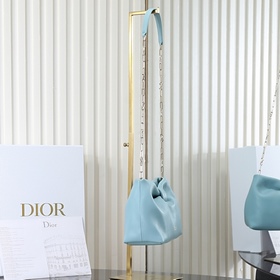 Сумка «Голубые облака» от Dior — LAM