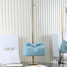 Сумка «Голубые облака» от Dior — LAM