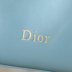 Сумка «Голубые облака» от Dior — LAM