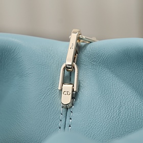 Сумка «Голубые облака» от Dior — LAM