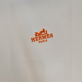 Hermes — новая коллекция поло из «ледя