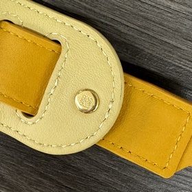 Новая модель Loewe： классический плече