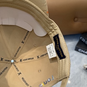 LV (Louis Vuitton) — поступление модел