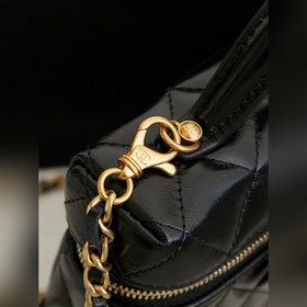 Сумка-ланчбокс Chanel 26C LP из промас