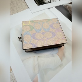 Кошелек COACH с цветным логотипом виде