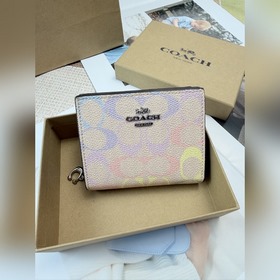 Кошелек COACH с цветным логотипом виде