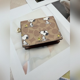 Кошелек Coach C4591, выпущенный в рамк