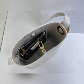 Новая весенне-летняя модель сумки Dior