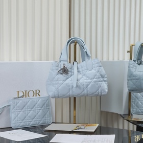 Новая модель сумки Dior Toujours ледян