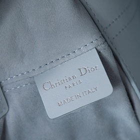 Новая модель сумки Dior Toujours ледян