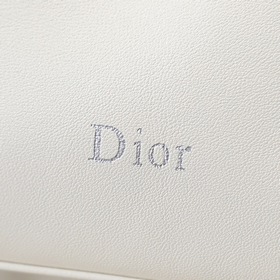 Сумка «Белое облачко» от Dior — LAMB
