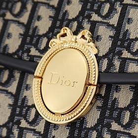 Оригинальная сумочка Dior Médaillon 