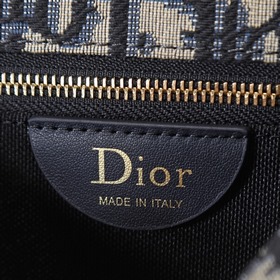 Оригинальная сумочка Dior Médaillon 
