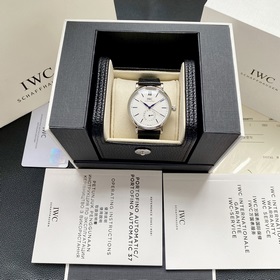 Компания IWC впервые представила модел