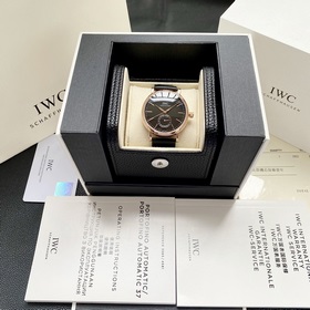 Компания IWC впервые представила модел