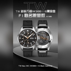 Новинка TW ： модель IWC Pilot’s Wa