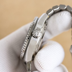 (В комплекте с ремешком) VS+ Omega — 