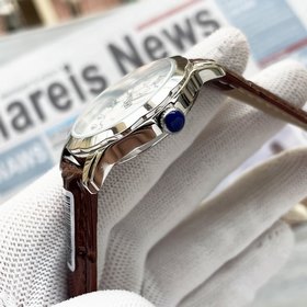 Новейшая модель 2026 года от Omega： не