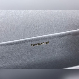 CELINE Triomphe Shoulder Bag Сумка под мышку Триумфальная арка Ар